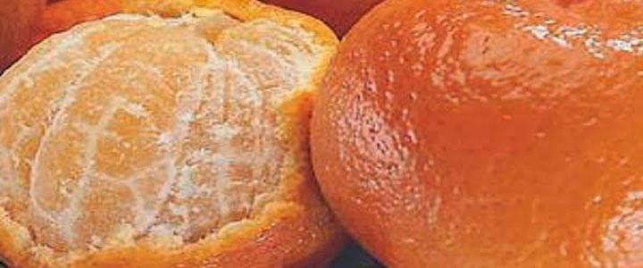 tangerina engorda